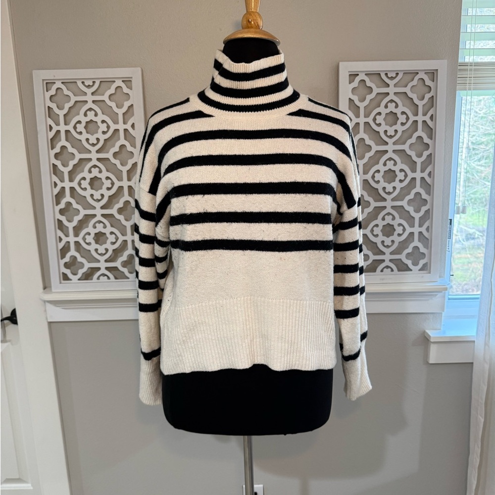Striped Turtleneck Sweater - Black and White - Picture 1 of 10